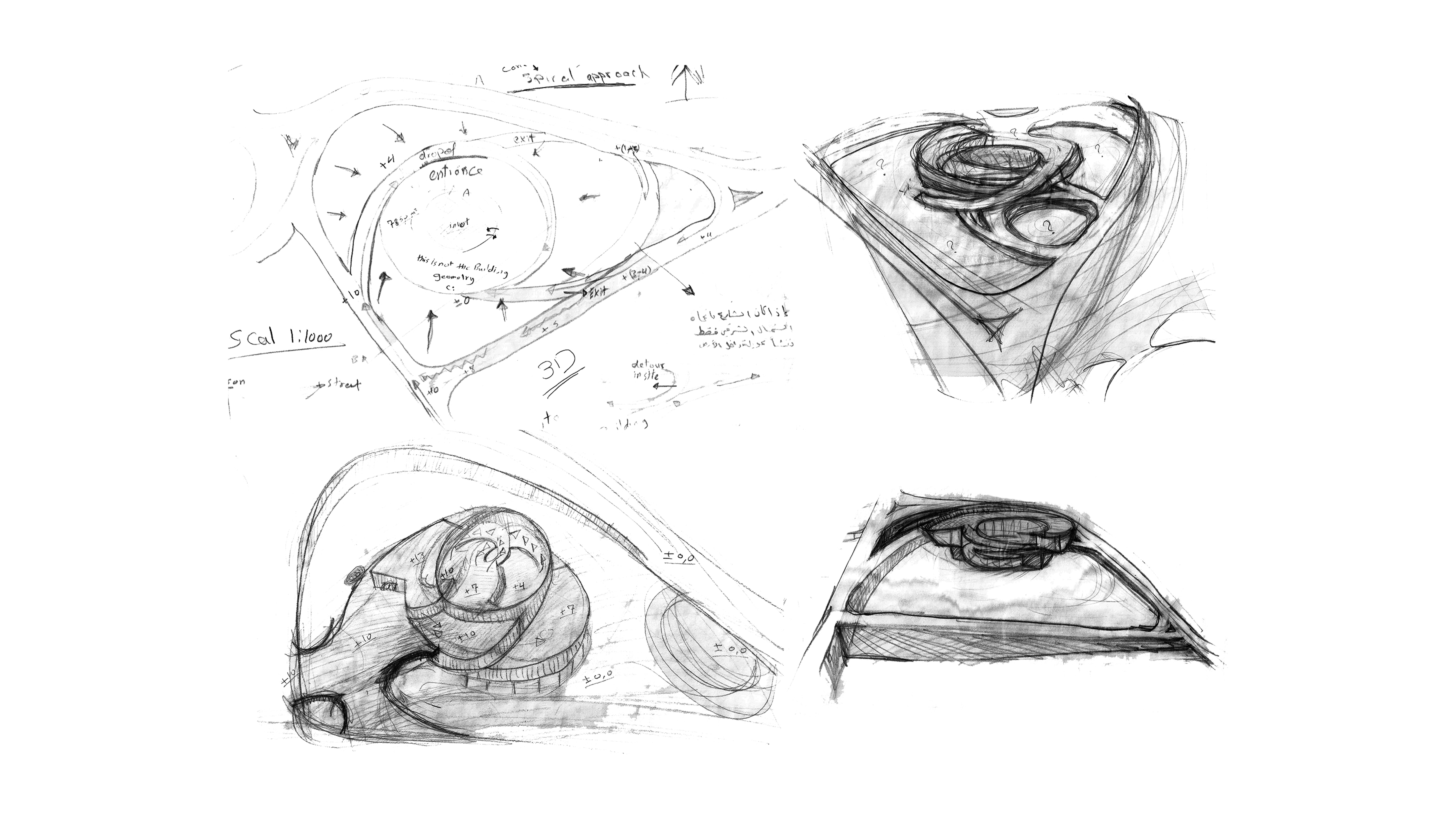 D4 (6)
